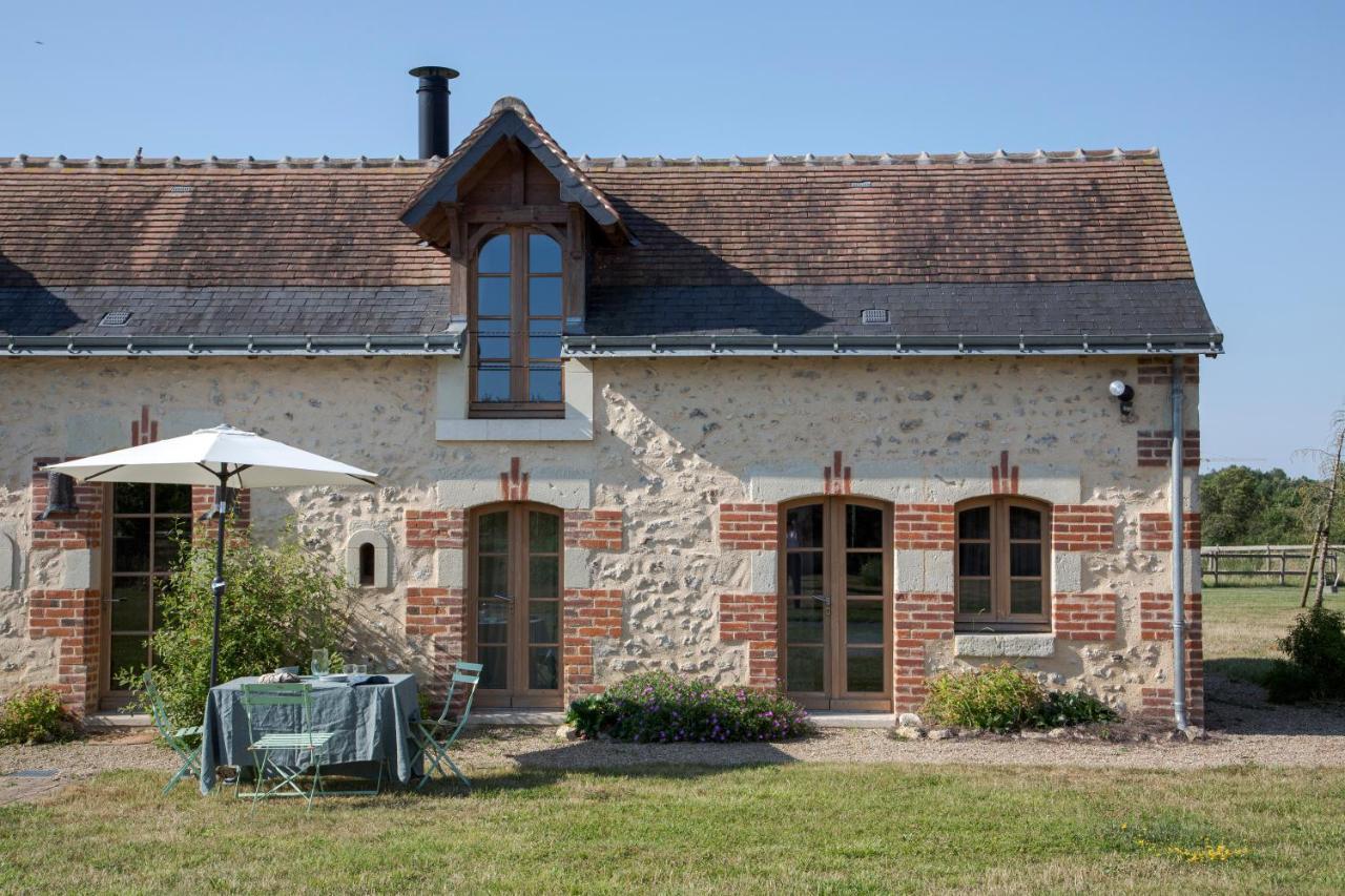 Domaine De La Trigaliere Villa Ambillou Ngoại thất bức ảnh