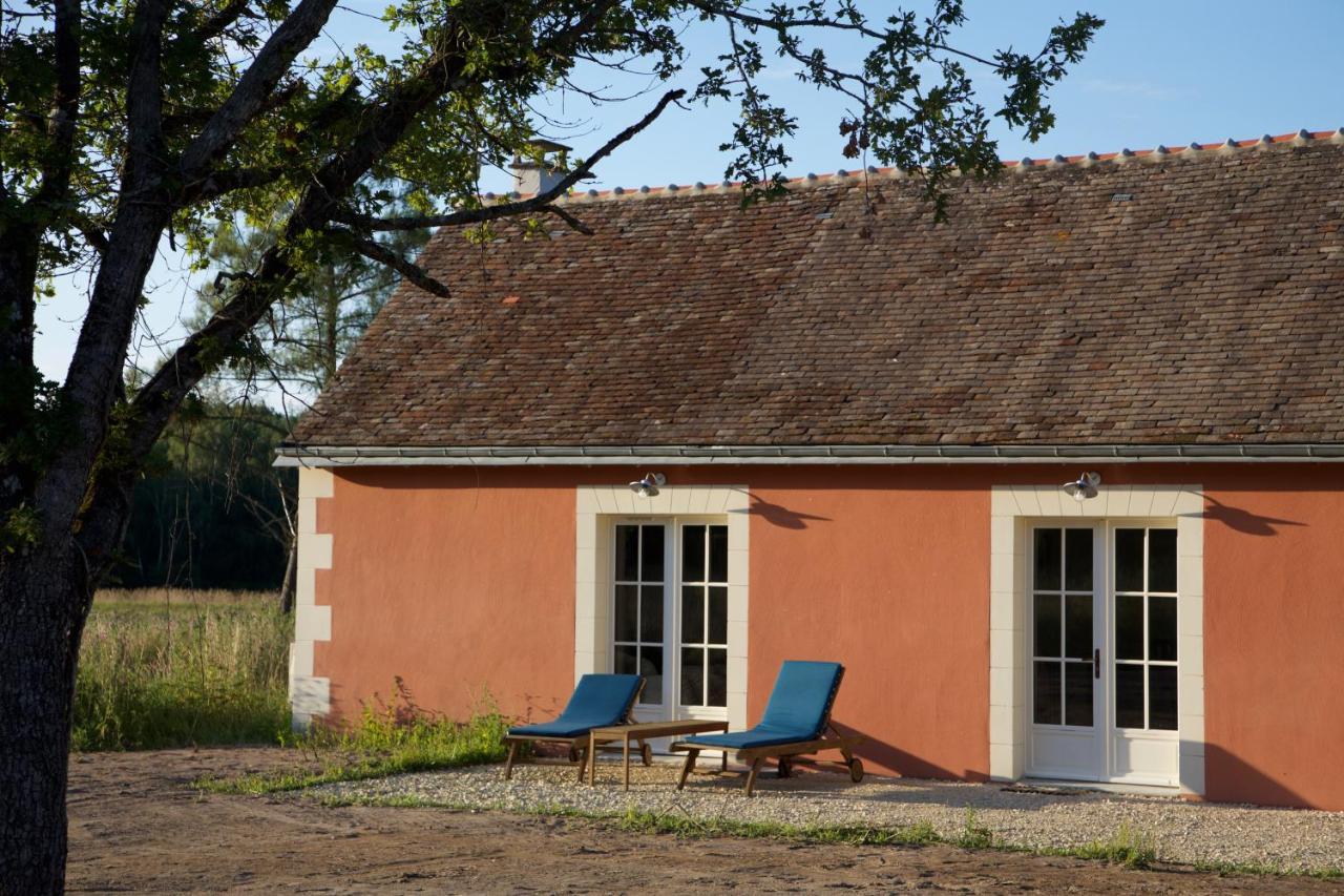 Domaine De La Trigaliere Villa Ambillou Ngoại thất bức ảnh